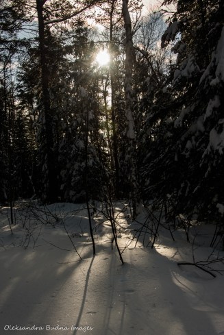 winter at Windy Lake 