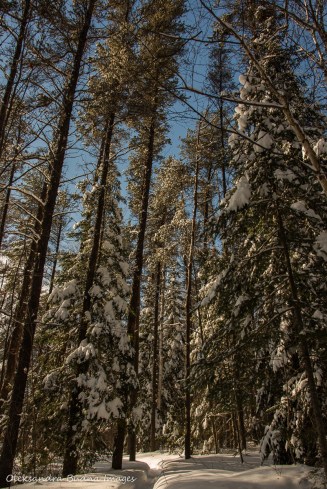 winter at Windy Lake Provincial Park