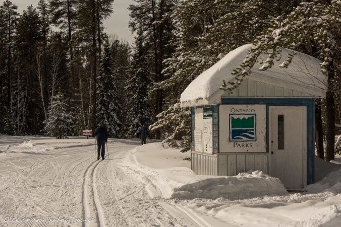 skiing at Windy Lake 