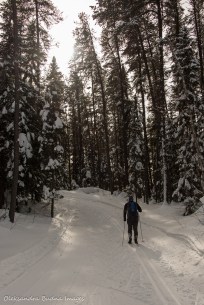 skiing at Windy Lake