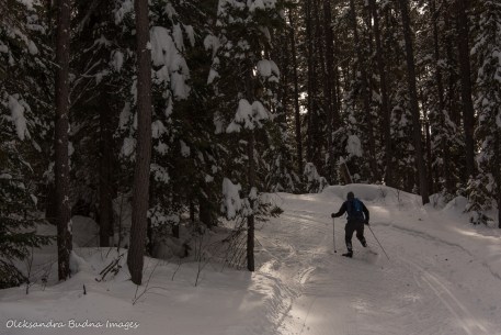 skiing at Windy Lake