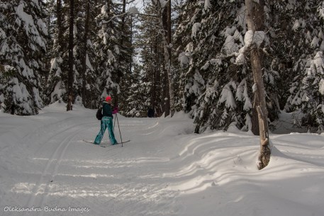 skiing at Windy Lake