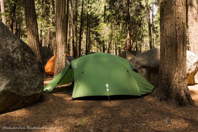campsite 179 at Upper Pines campground in Yosemite national park