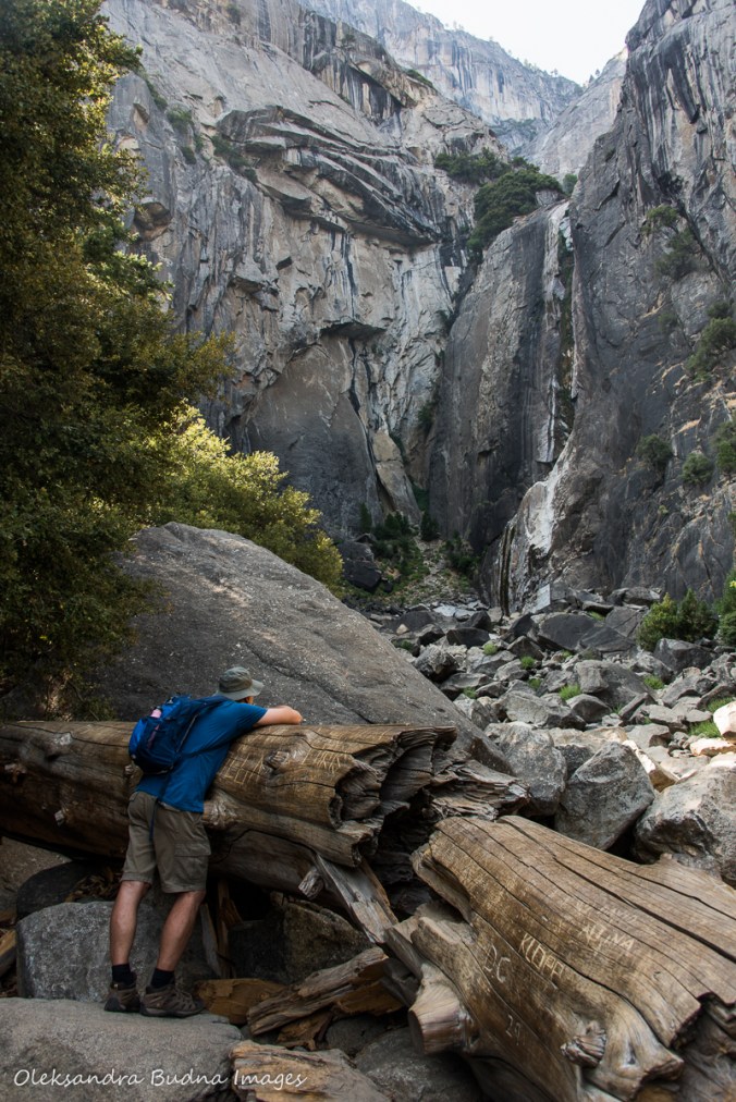 looking for Yosemite falls 
