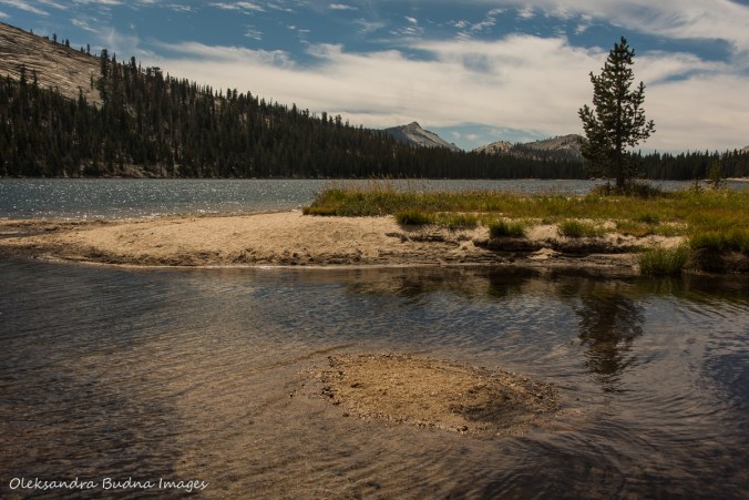 Tenaya lake along Tioga Pass road
