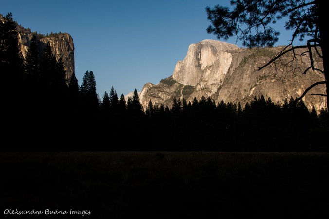 view of Half Dome 