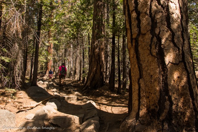 hiking the Half Dome trail at Yosemite