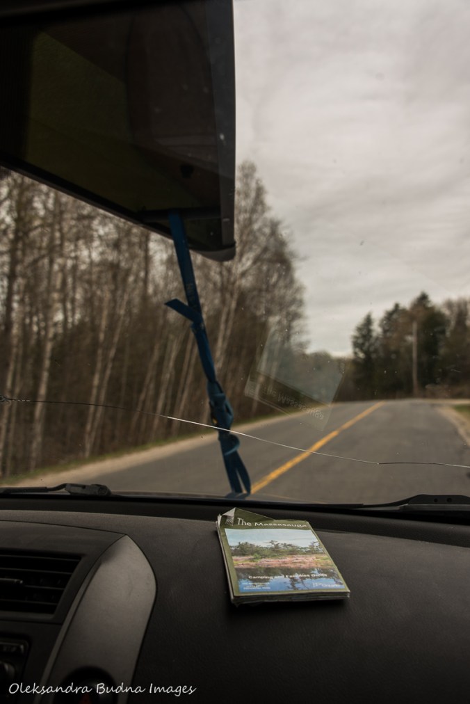 driving to the Massasauga provincial park