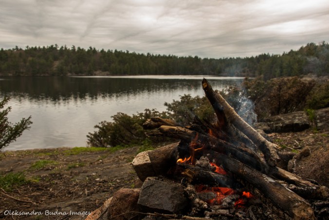 view from site 24 on Spider Lake in The Massasauga