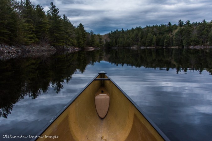 canoeing at the Massasauga provincial park