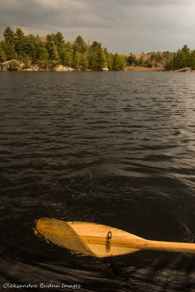paddling on Spider lake at The Massasauga