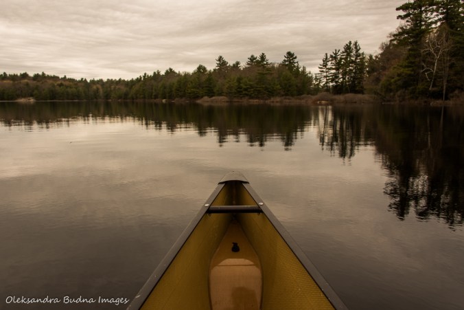 paddling Spider lake in The Massasauga Provincial Park