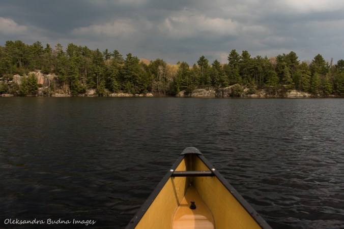 paddling at The Massasauga