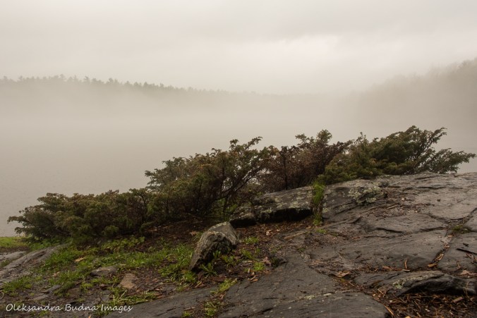 fog on Spider Lake at The Massasauga