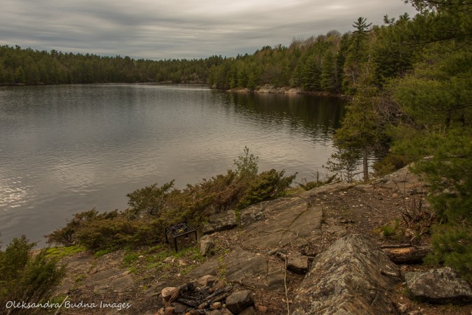 view from site 24 on Spider lake in the Massasauga