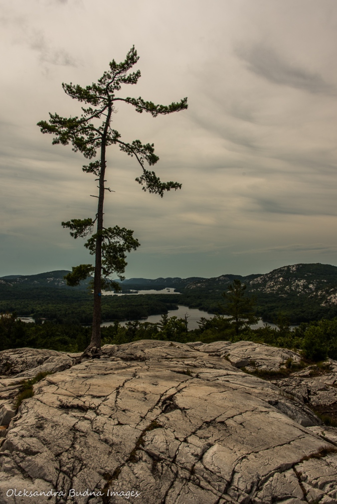 view from the Crack in Killarney Provincial Park