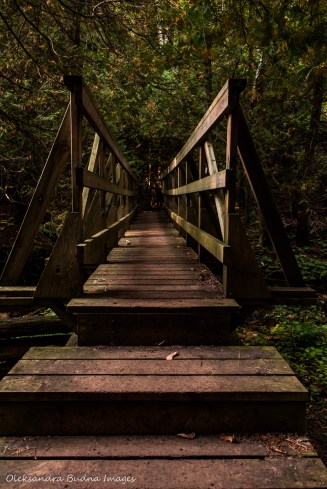 bridge over a creek at Hockley Valley