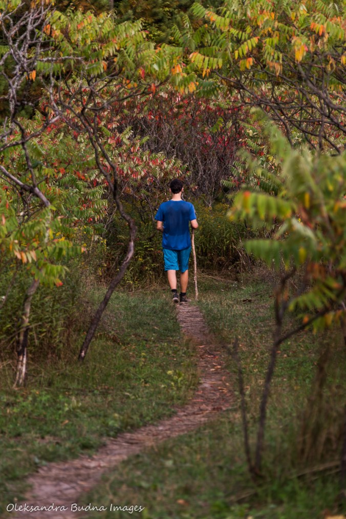 hiking Isabel East Side trail at Hockley Valley