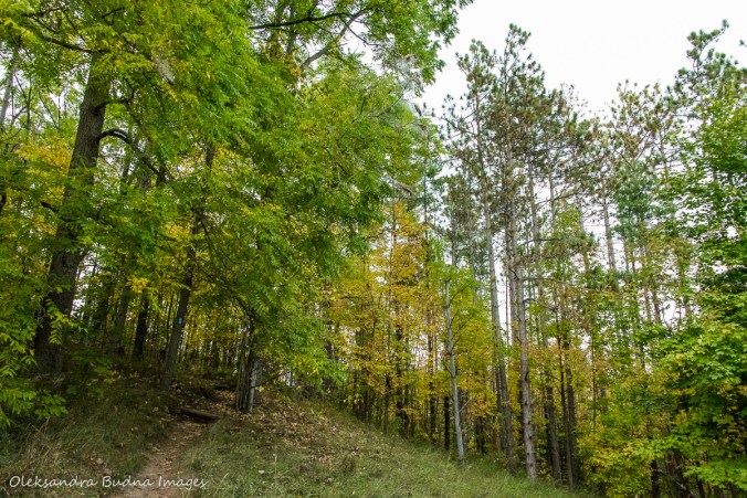 hiking Isabel East Side trail at Hockley Valley