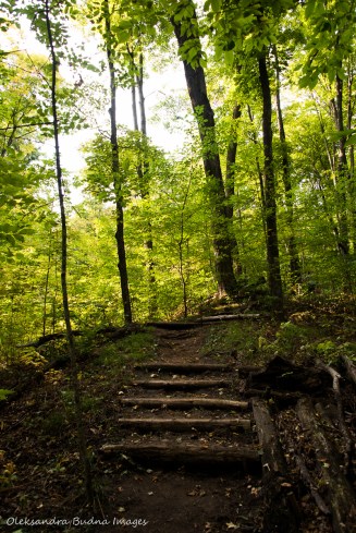 Glen Cross side trail at Hockley Valley