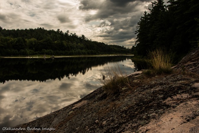 view from site 52 on Three Narrows Lake in Killarney