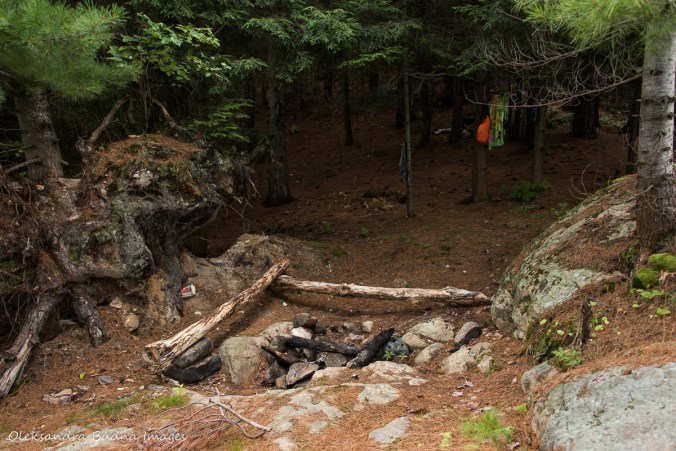 site 52 on Three Narrows Lake in Killarney