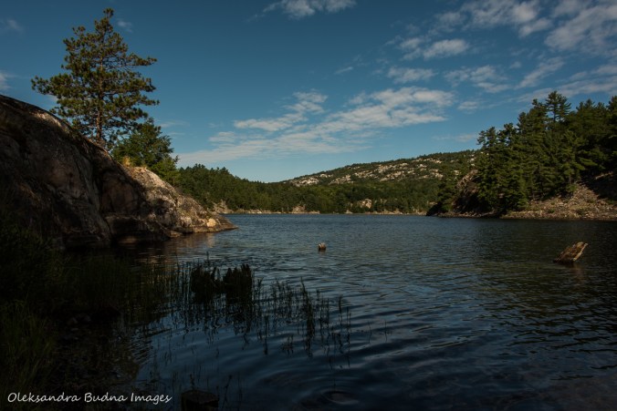 view from site 52 on Three Narrows Lake in Killarney