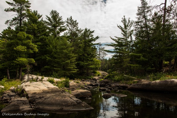 paddling on Kirk Creek from Three Narrows Lake to McGregor Bay in Killarney