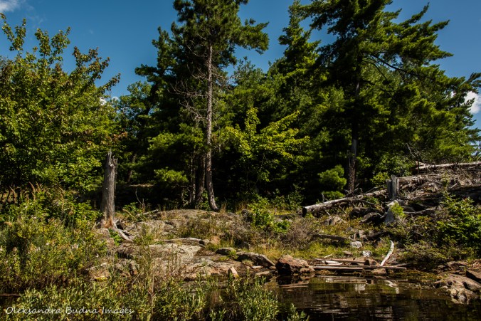 site 133 on McGregor Bay in Killarney