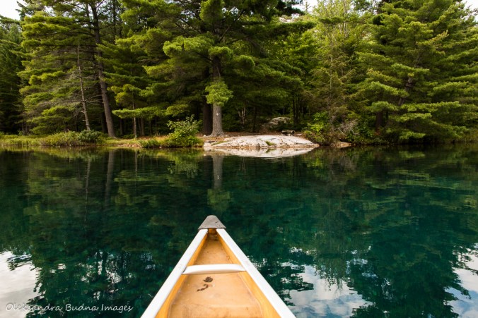 view from the water of site 143 on Nellie Lake in Killarney