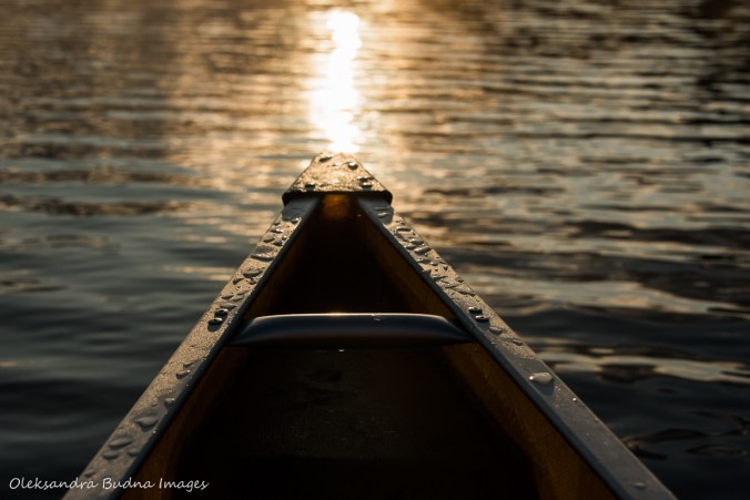 paddling during sunrise on Nellie Lake in Killarney