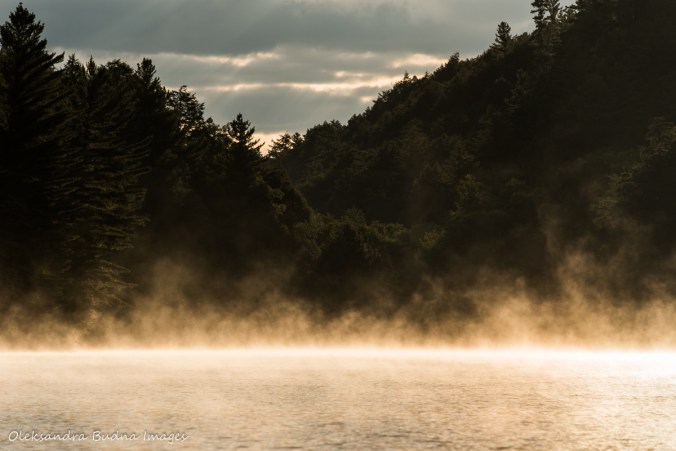 morning mist on Nellie Lake in Killarney