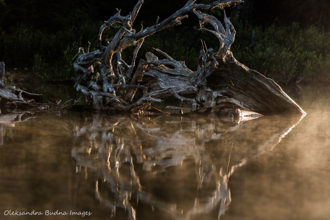 reflection on Nellie Lake in Killarney