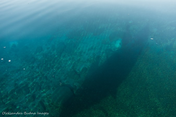 canoe shadow on the bottom of Nellie Lake in Killarney