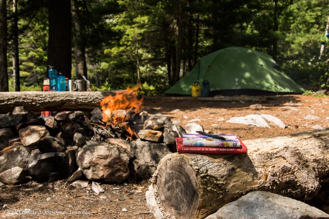 site 143 on Nellie Lake in Killarney