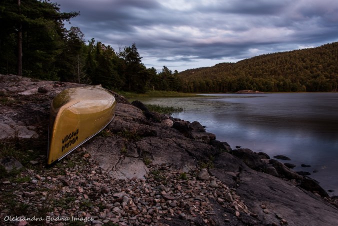 view from site 143 on Murray Lake in Killarney