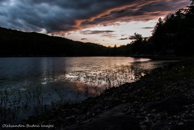 view from site 143 on Murray Lake in Killarney