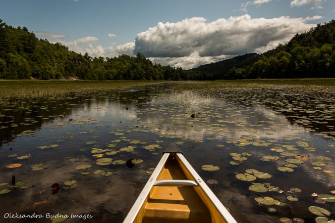 paddling on Murray Lake in Killarney