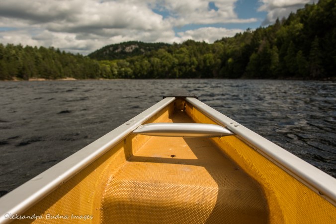 paddling on Howry Lake in Killarney