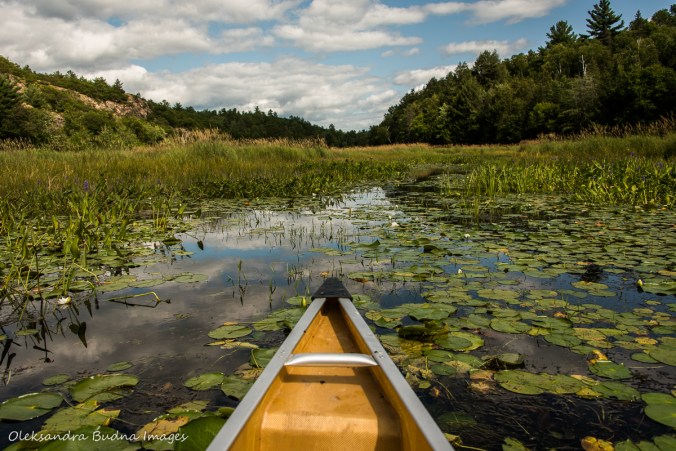 paddling on Howry Creek in Killarney