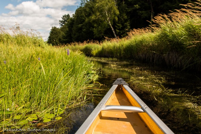 paddling on Howry Creek in Killarney