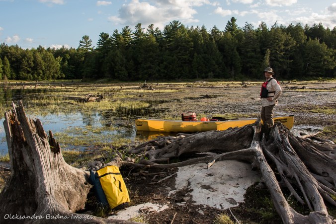 put in at Great Mountain Lake after the portage from Fish Lake