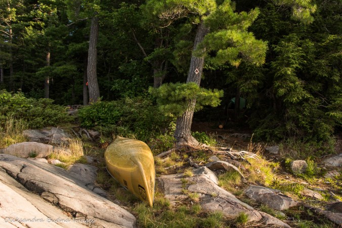 site 158 on great Mountain Lake in Killarney