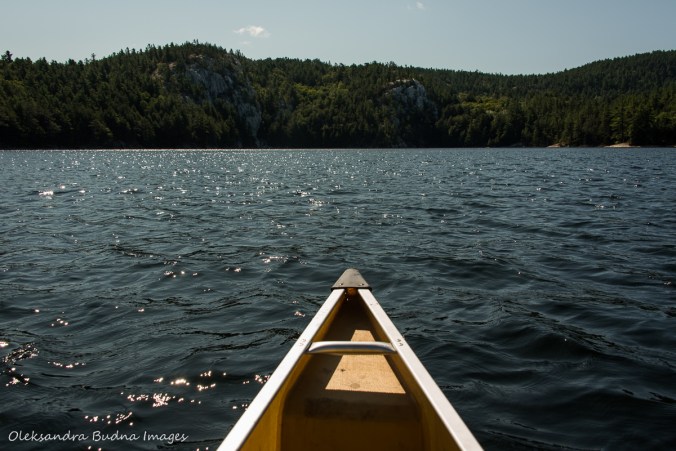 paddling on Great Mountain Lake in killarney