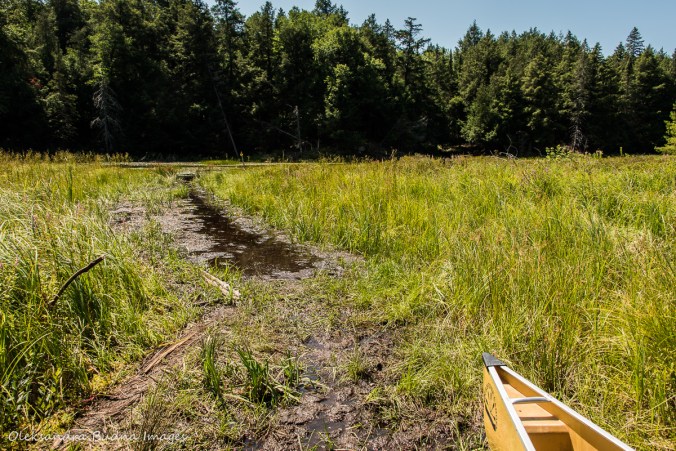 end of portage from Little Mountain Lake to Kirk creek in Killarney