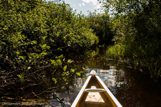 paddling on Kirk Creek in Killarney