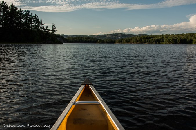 paddling on Three Narrows Lake in Killarney