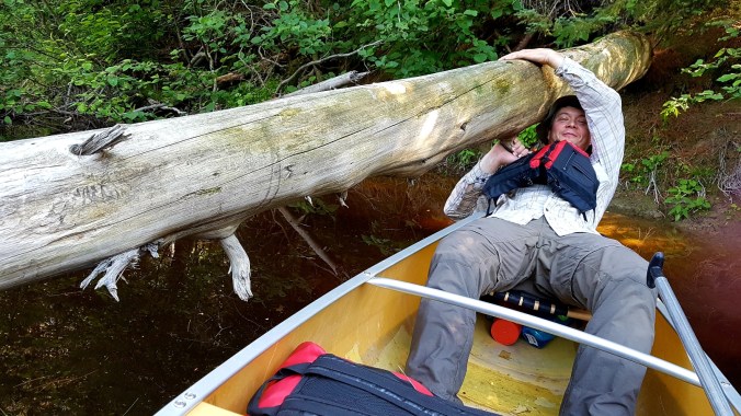 paddling under a log on Kirk Creek in Killarney