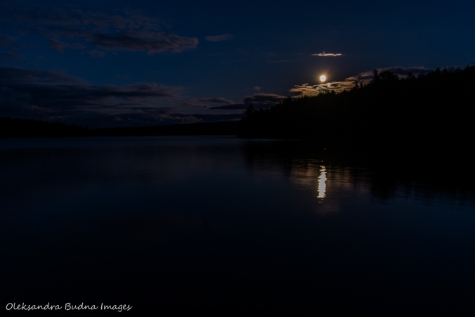 full moon over Lake Louisa in Algonquin