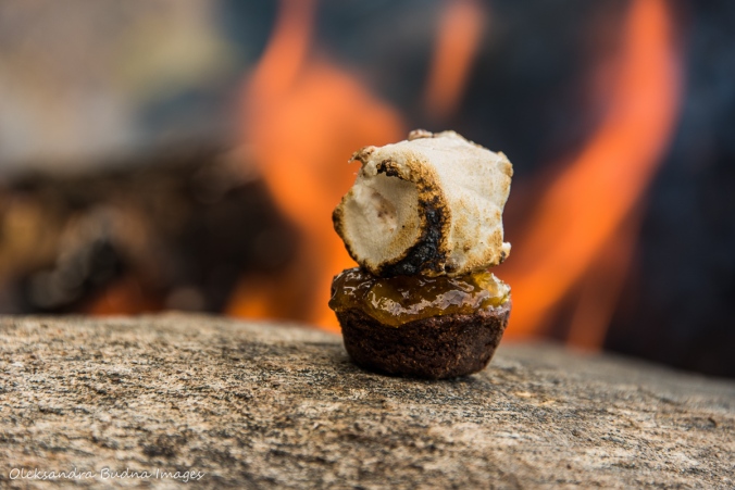 marshmallow on a brownie by the campfire